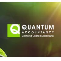 Quantum Accountancy