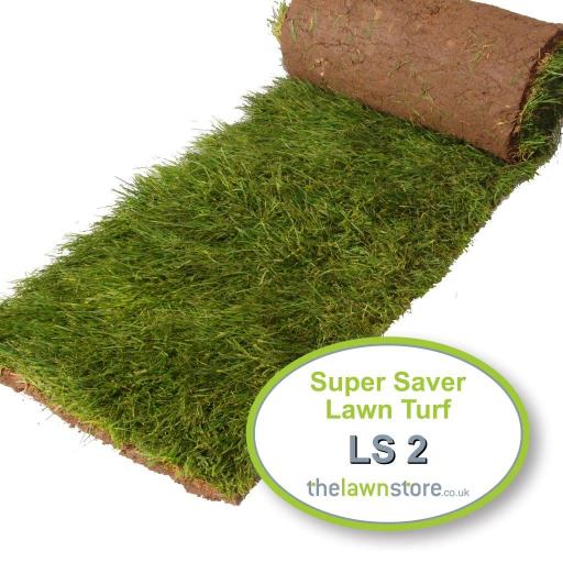 LS2 Super Saver Lawn Turf