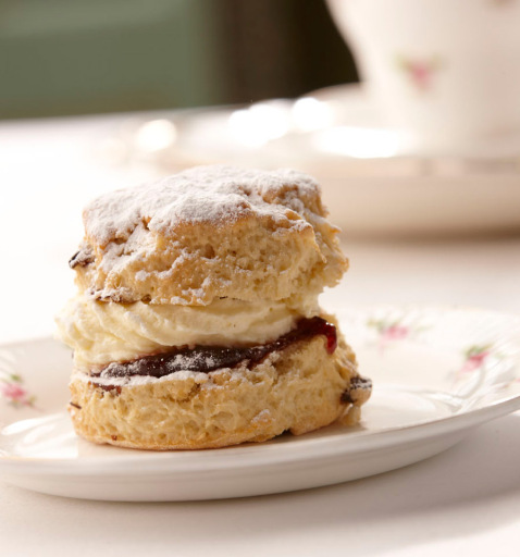 Food Photography