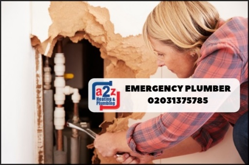 Emergency plumber