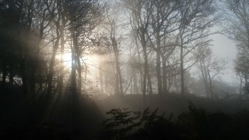 image3