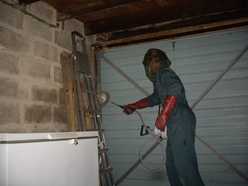 Dealing with a small wasp's nest