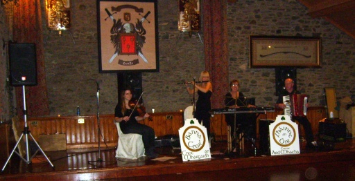 Playing at a wedding in Darver Castle, Co. Louth, Ireland