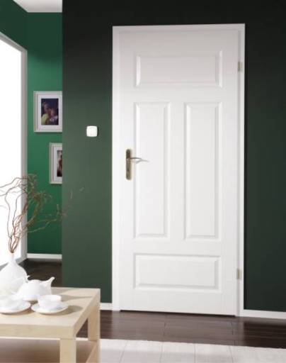 Door Spraying and Renovation