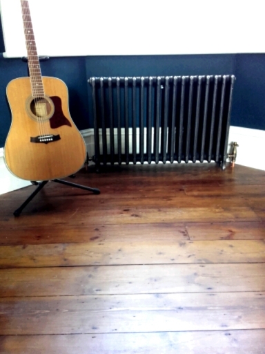 Cast iron radiator