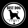 Best Dog