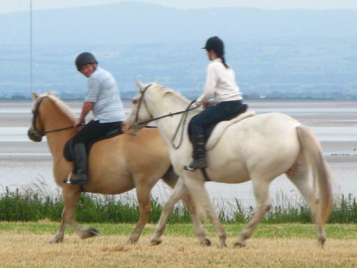 riding in the field