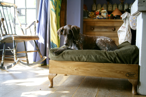 Raised pine dog bed