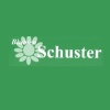 Blumen Schuster