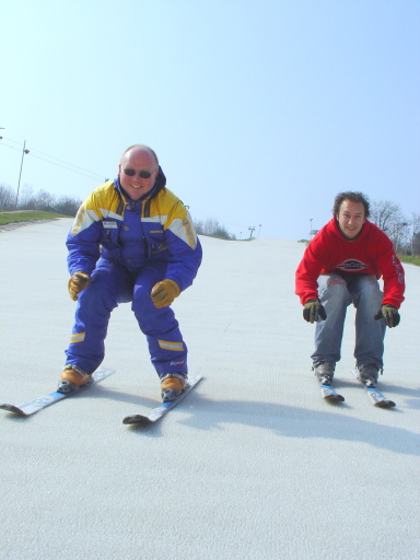 Skiing Lessons