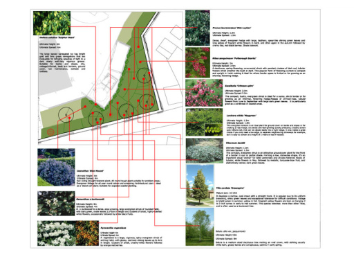 henzel Garden Design Edinburgh work example