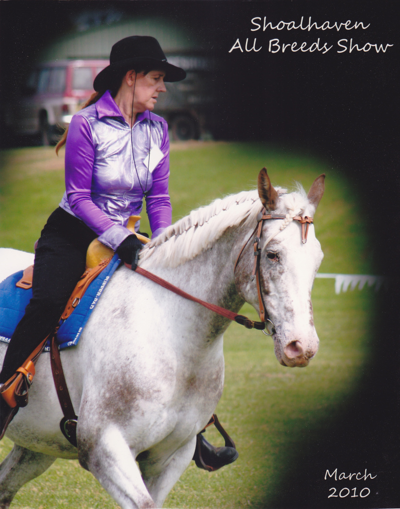 Wild Horses, naturally 321 Stringybark Road, Nowra Hill, 2540