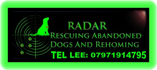 RADAR DOG RESCUE - SAVING DOGS OFF DEATH ROW! IN LOCAL COUNCIL POUNDS.