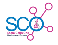 Stem Cells One