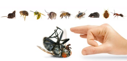 Say "Flick Off" to pests