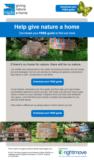 RSPB Email Creative
