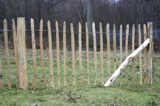 Chestnut Pailing
