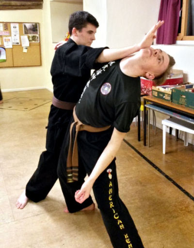 Self defence work