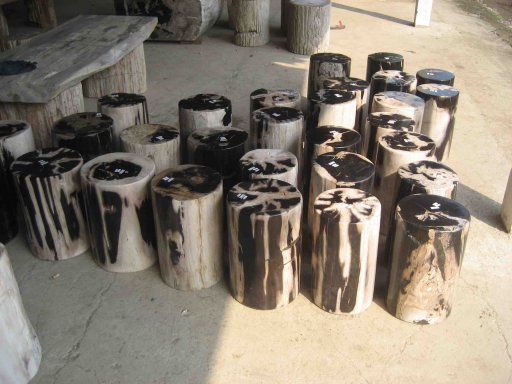 Petrified Wood Furniture, Table, Stump, Stools, Slabs and Jungle Vines from Indonesia