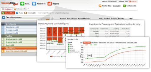 TreasuryView Financial Risk Technology