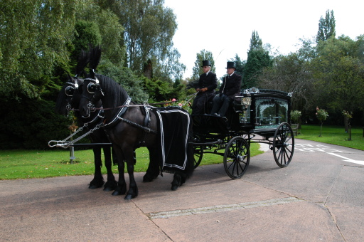 Horse drawn funeral carriage