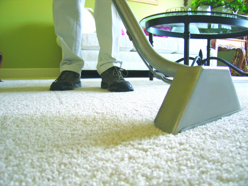 Domestic Carpet Care