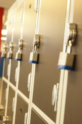 Laminate door lockers with swival hasp locks