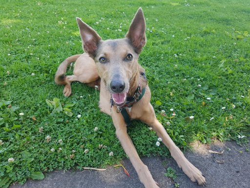 image3