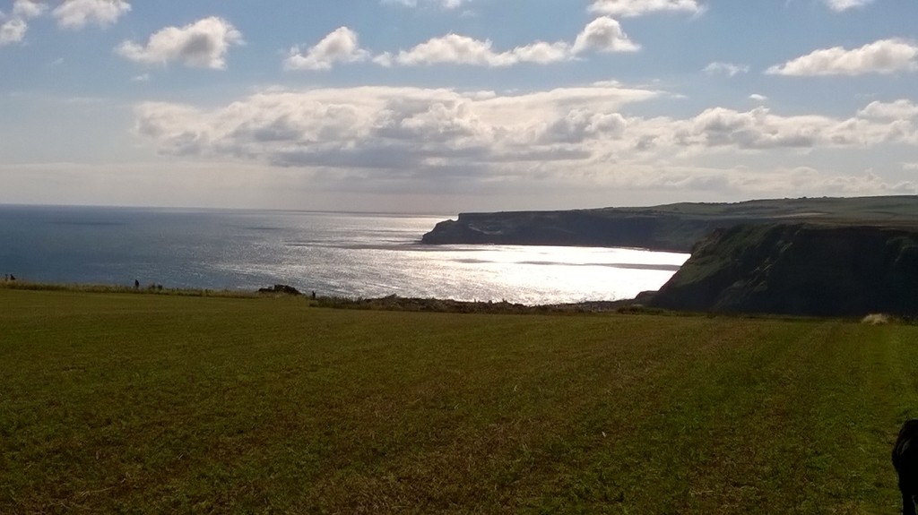 Rosedale Holiday Cottages in 51 Rosedale Lane, Port Mulgrave, Saltburn