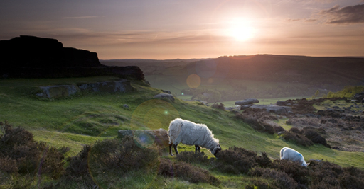 curbar edge. peak district, derbyshire