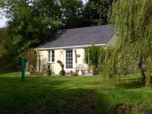 image1