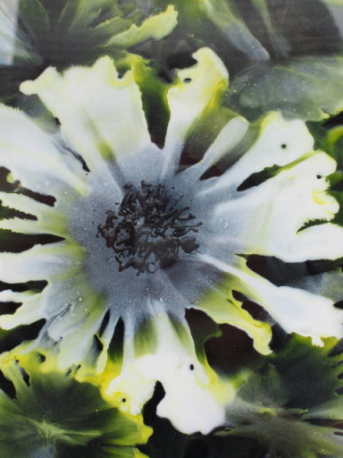 Bloom 3 (Encaustic wax painting by Phil Madley)