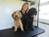 Wagtime Dog Grooming Parlour