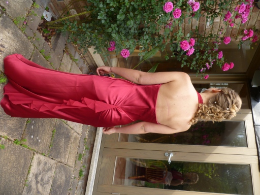 May ball hair-up