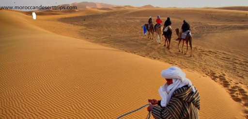 www.merzouga-excursions.com