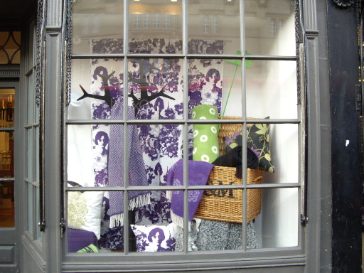 Northlight Autumn Window