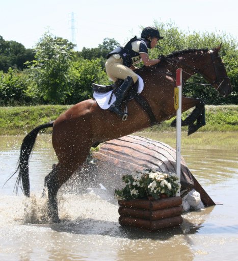 MURRAY HOUSE LIVERY YARD, xc