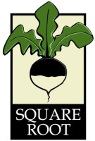 Square Root Events