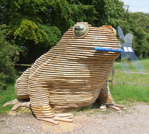 Giant Toad with Dragonfly