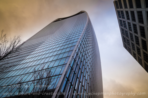 20 Fenchurch Street. Sky Garden.