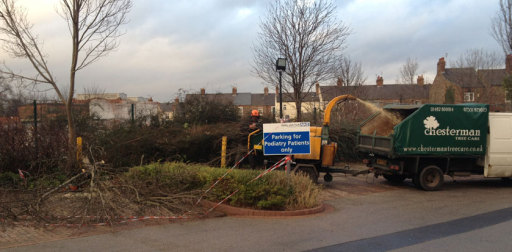 Tree Surgeon York - NHS Tree Work