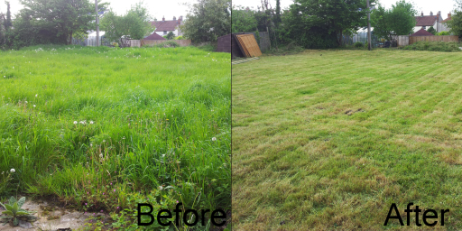 Garden Overhaul and Grass Cut