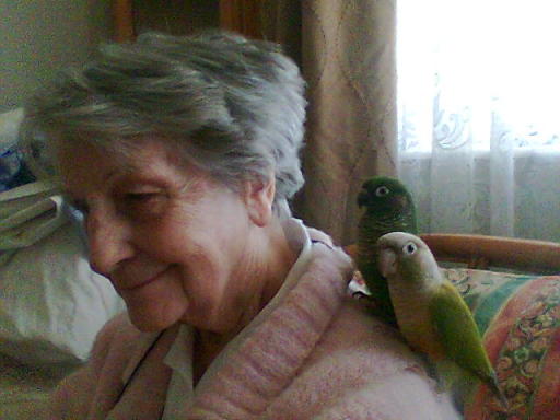 Parrots