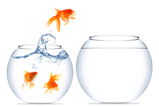 Isolated Leadership