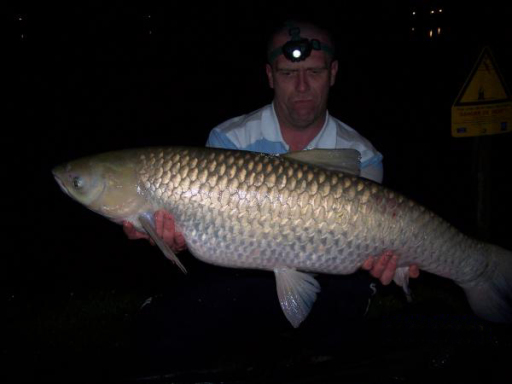 32lb 2 oz grass Mirror caught using Redeye Baits.