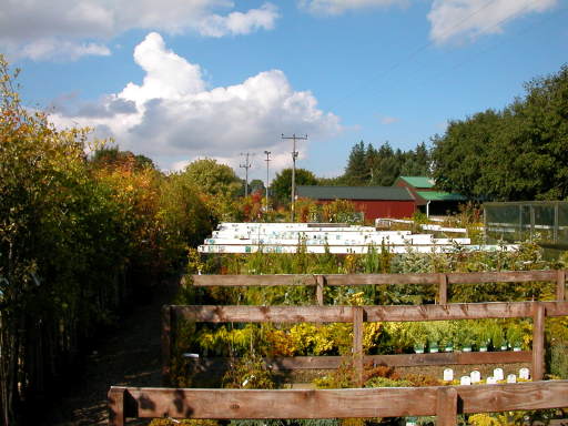 Sales Area