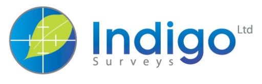 Indigo Surveys Logo: Arboriculturist, Ecological Consultancy, Measured Surveys