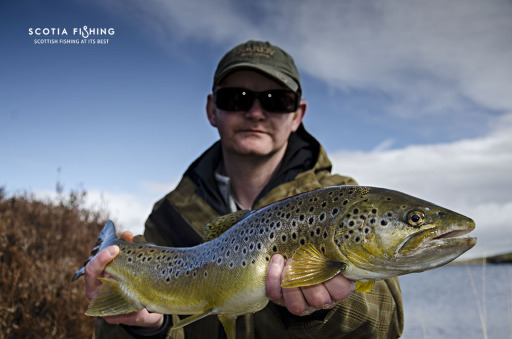Trout fly fishing trips in Scotland