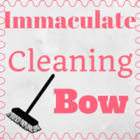 Immaculate Cleaning Bow
