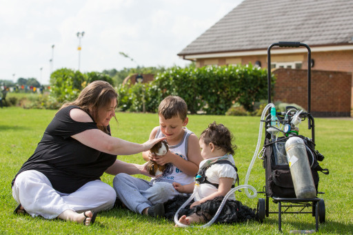 Bluebell Wood - living with love and laughter